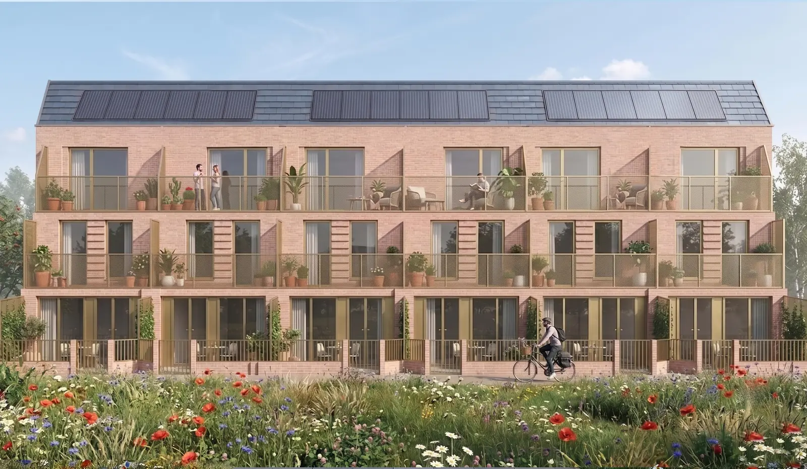 Proposed townhouses seen from the rear, showing balconies, private gardens and the pitched roofs with solar panels